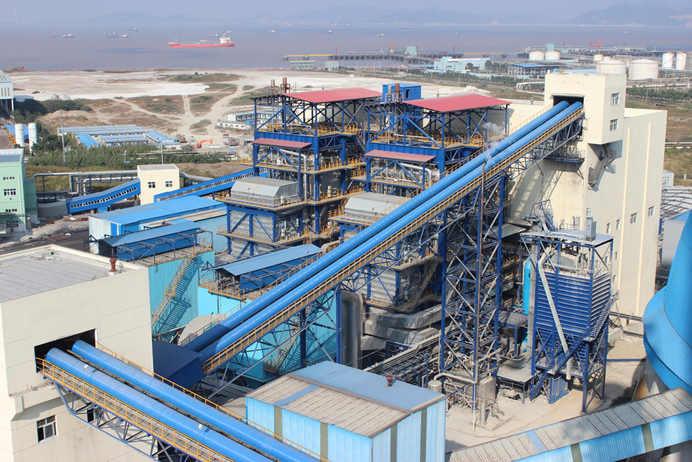 鼓泡流化床燃烧锅炉(BFB)